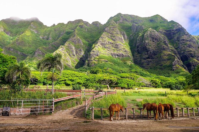 Kualoa Ranch - Zipline Tour - Exploring the Zipping Adventure at Kualoa Ranch