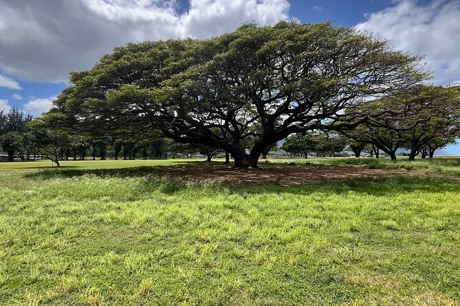 Guided E-Bike Tour in North Shore - Practical Details: Pricing, Booking, and Weather