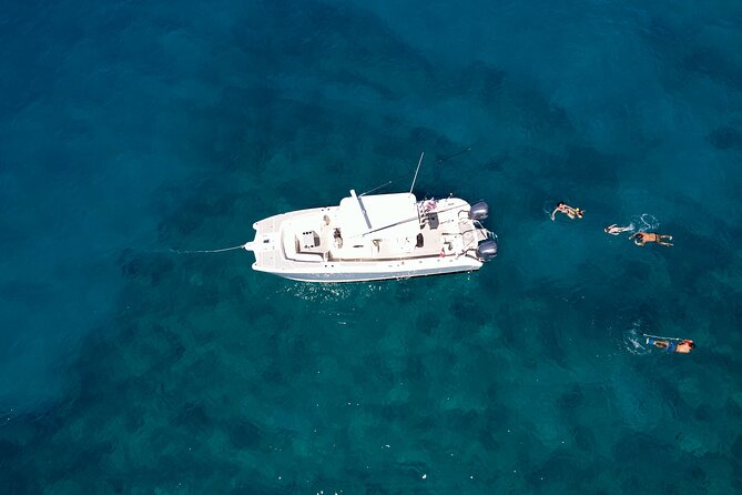 Private Whale Watching Trip from Oahu - Reviewing the Private Whale Watching Trip from Oahu