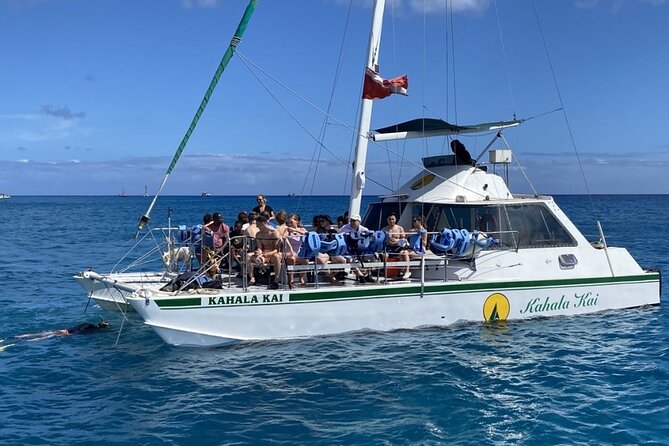 Oahu Catamaran Snorkel Tour: See Turtles 100% Guaranteed - The Sum Up