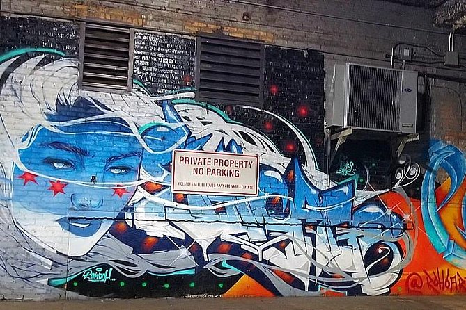 Chicago Christmas Loop Tour - Who Should Consider This Tour?