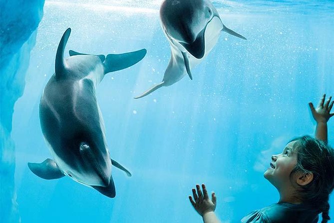 Chicago CityPASS® - Frequently Asked Questions