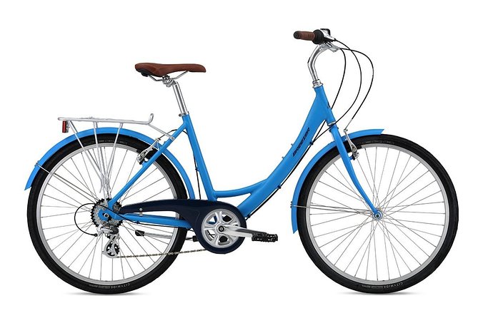 Chicago Full Day Bike Rental - Practical Details and Tips