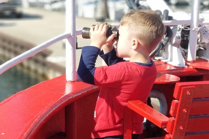 Historical and Architectural Chicago Fireboat River/Lake Cruise - Who Should Book This Tour?