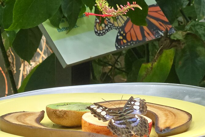 Lincoln Park Nature Museum & Zoo Private Walking Tour - The Lincoln Park Conservatory: An Indoor Botanical Wonderland