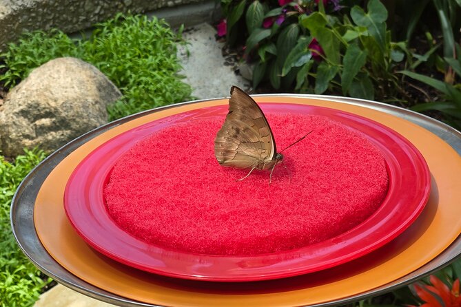 Lincoln Park Nature Museum & Zoo Private Walking Tour - Who Will Love This Tour?