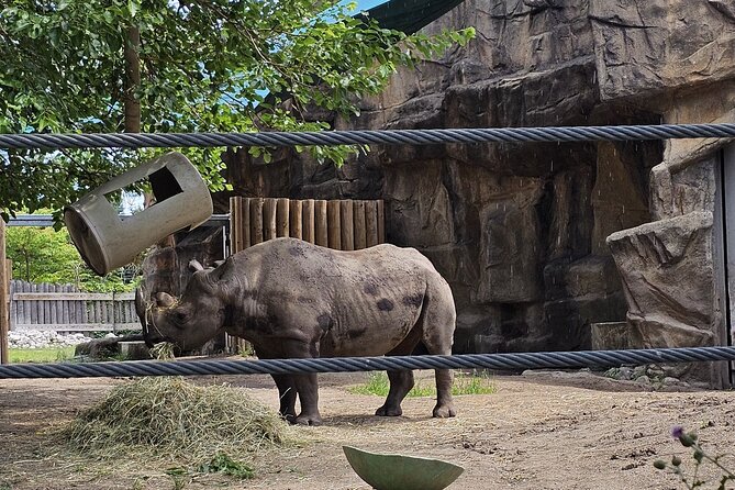 Lincoln Park Nature Museum & Zoo Private Walking Tour - Final Thoughts