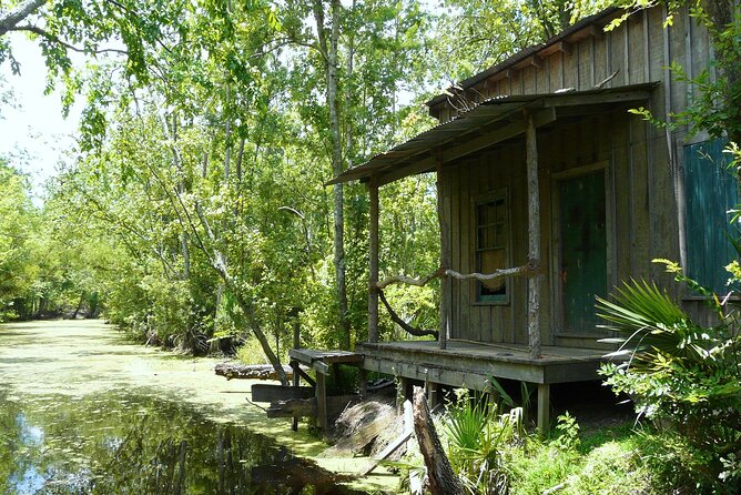 Private Day Tour from New Orleans to the Bayou and Swamps - Comfortable Transportation & Personal Service