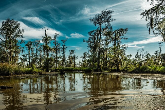 Private Day Tour from New Orleans to the Bayou and Swamps - An Authentic Day in Louisiana’s Bayou Country