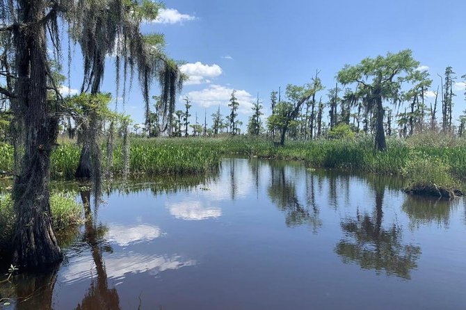 New Orleans Small-Group Airboat Swamp Tour - Final Thoughts: Who Is This Tour Best For?