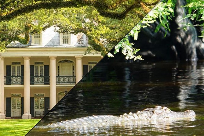 Oak Alley Plantation and Swamp Boat Tour from New Orleans - The Sum Up