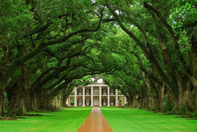 Oak Alley Plantation and Swamp Boat Tour from New Orleans - A Detailed Look at the Oak Alley and Swamp Tour