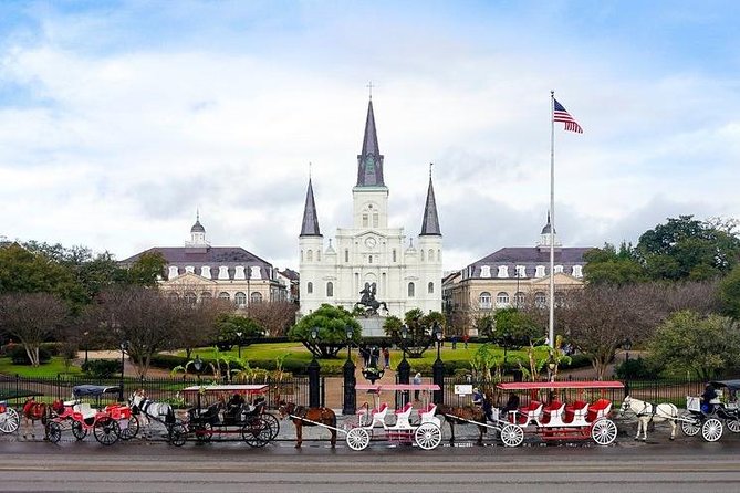 La Vie NOLA! Private Tour of New Orleans - Our Signature Tour! - Creating Value for Your Money