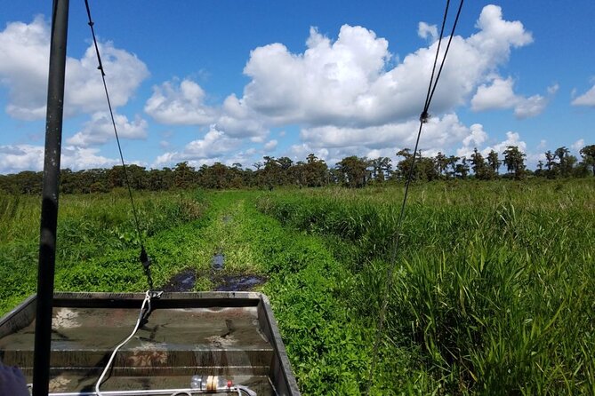Private Airboat Swamp Tour - A Detailed Look at the Private Airboat Swamp Tour