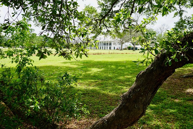 St. Joseph Plantation Tour - The Experience in Detail: What Youll Encounter