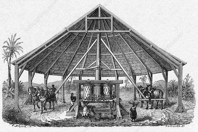 The History of Slavery in Louisiana Tour - Final Recommendations