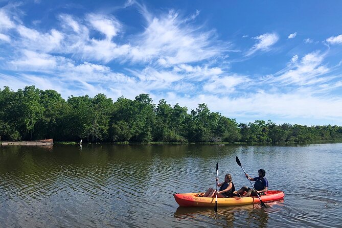 Self Guided Kayak Bayou Swamp Tour - Key Points: