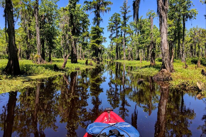 Manchac Swamp EXTENDED Kayak Tour with Pickup - Who Is This Tour For?