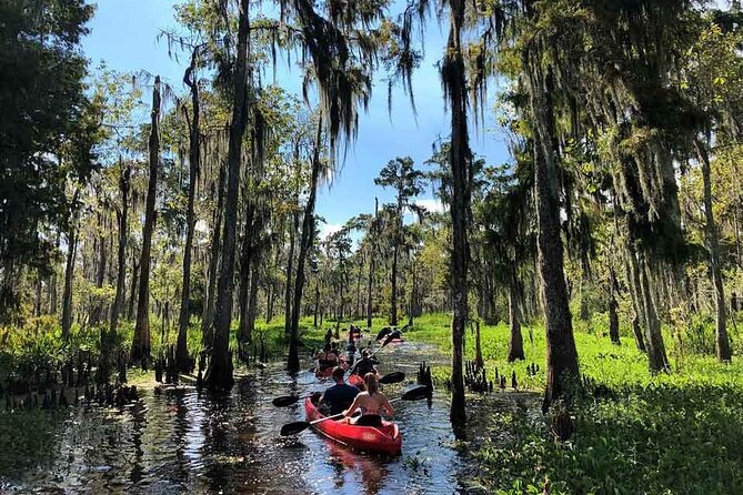 Manchac Swamp EXTENDED Kayak Tour with Pickup - A Deep Dive into the Manchac Swamp Kayak Tour Experience