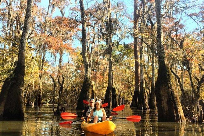 Manchac Swamp EXTENDED Kayak Tour with Pickup - Key Points