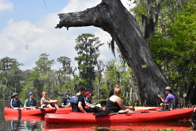 Manchac Swamp EXTENDED Kayak Tour with Pickup - An Authentic Adventure in the Manchac Swamp