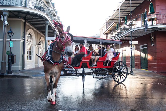 New Orleans French Quarter and More Carriage Ride - The Experience: Comfort and Atmosphere
