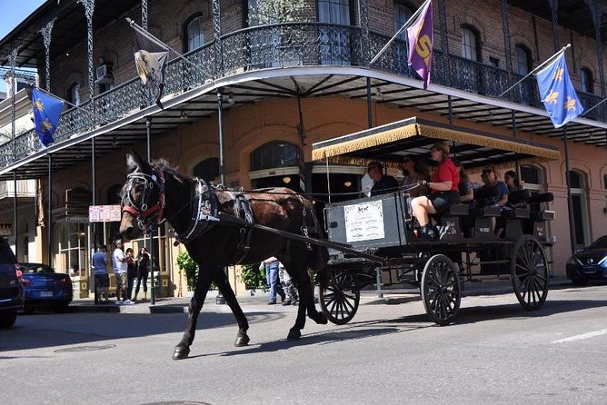 New Orleans French Quarter and More Carriage Ride - The Sum Up: Who Is This Tour Perfect For?