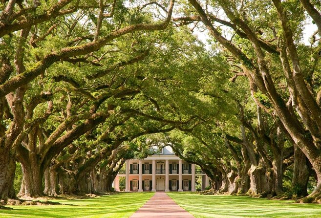 Explore Oak Alley Plantation Guided Tour with Transportation - Who Will Love This Tour?