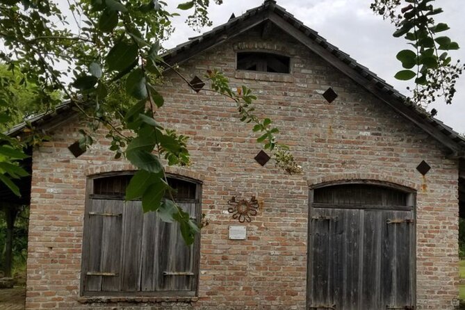 Full-Day Whitney Plantation & Airboat Swamp Tour w/Transfer - Who Should Consider This Tour?