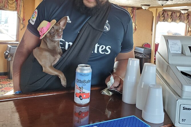 Dog Day of Summer Harbor Cruise in Boston - A Closer Look at the Experience