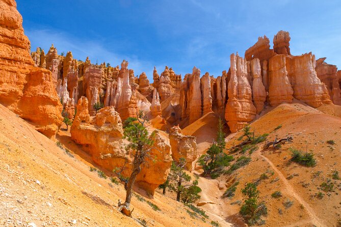 Zion and Bryce Canyon National Park Day Tour from Las Vegas - Key Points