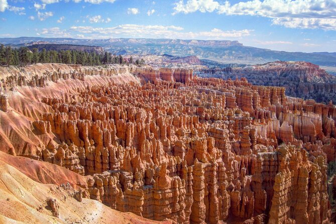 Zion and Bryce Canyon National Park Day Tour from Las Vegas - A Close Look at the Experience