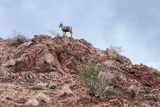 1.5 Hour Guided Raft Tour at Base of Hoover Dam With Transport - Final Thoughts