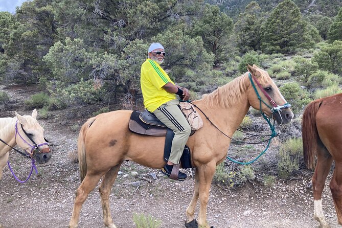 Las Vegas Horseback Riding Adventure in Mountain - Authentic Perspectives from Past Travelers
