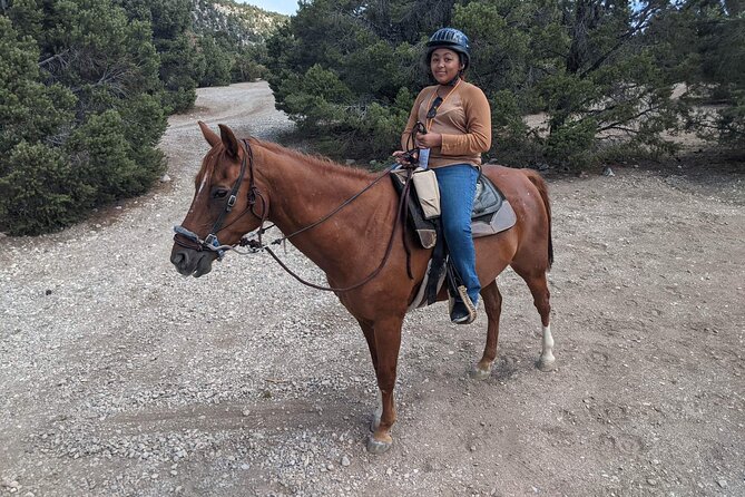 Las Vegas Horseback Riding Adventure in Mountain - Frequently Asked Questions