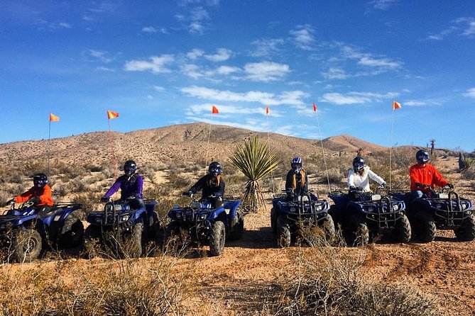 Half-Day Mojave Desert ATV Tour from Las Vegas - Who Is This Tour Best For?