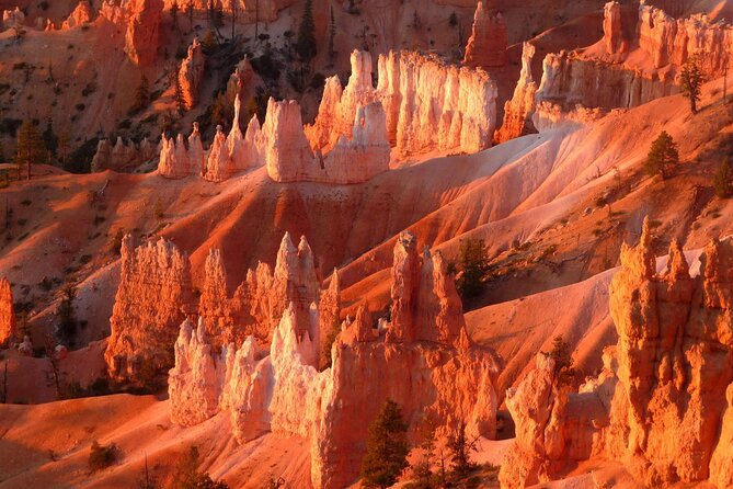 Las Vegas Antelope Canyon, Bryce Canyon, Zion 2 Days Tour - Exploring the Landscape: What to Expect on This 2-Day Tour
