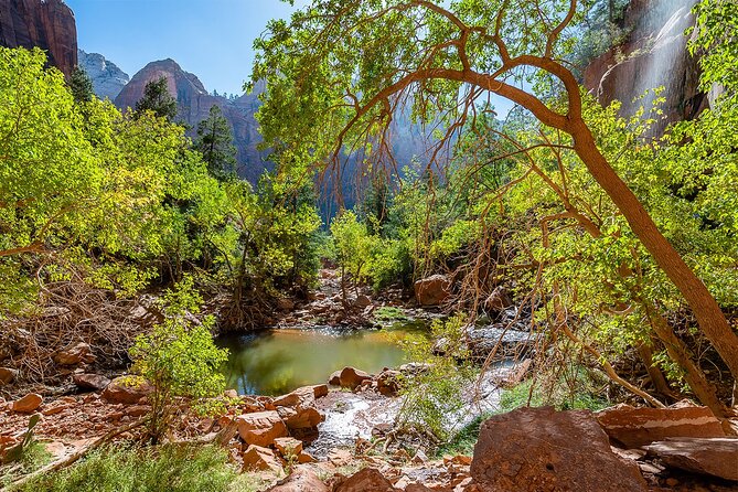 Zion National Park by Tour Trekker - Final Thoughts
