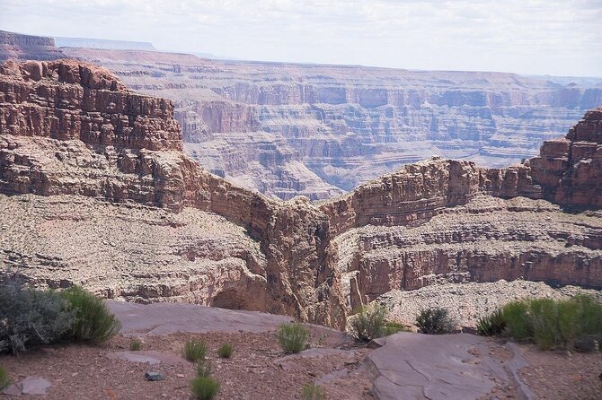 Small Group Grand Canyon, Hoover Dam and Joshua Tree Forest Tour - Final Thoughts