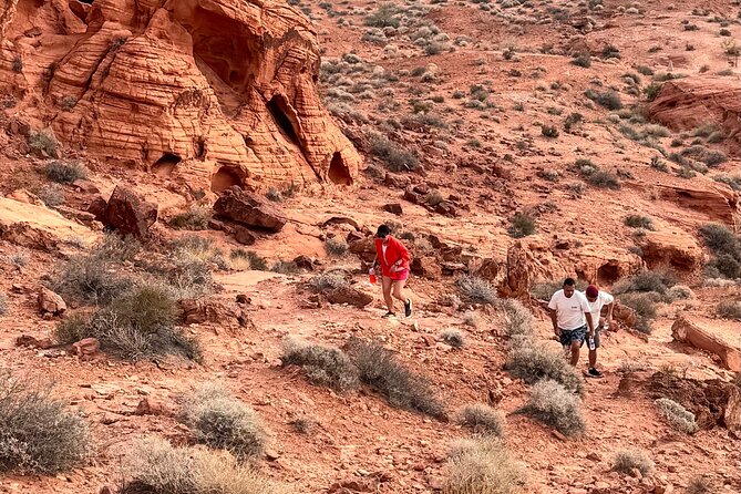 Valley of fire and Mojave Desert Tour from Las Vegas - FAQs