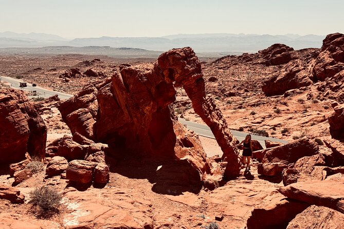 Valley of fire and Mojave Desert Tour from Las Vegas - Why You Should Consider This Tour