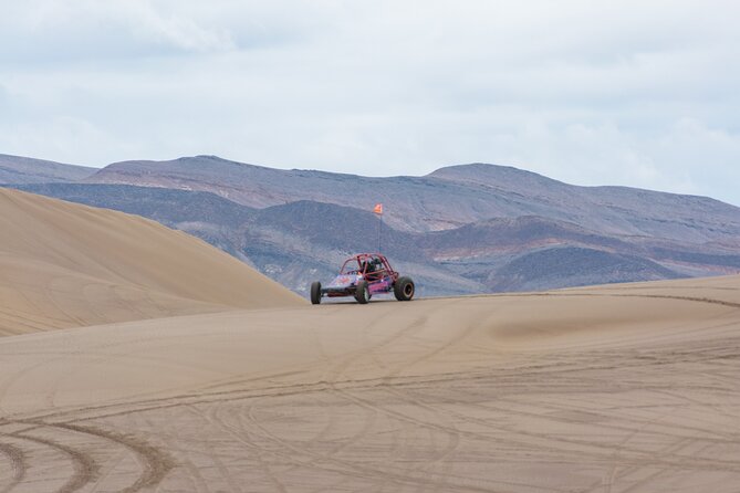 Las Vegas Big Dune Free Roam Adventure at Amargosa - Key Points