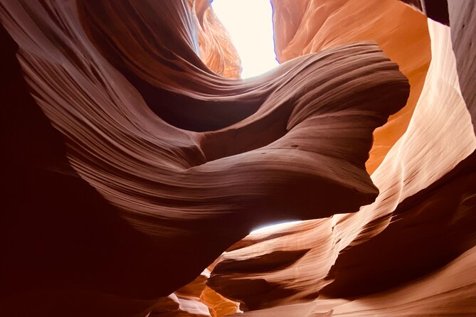 Antelope Canyon and Horseshoe Bend Small Group Private Tour - Authentic Insights from Reviews