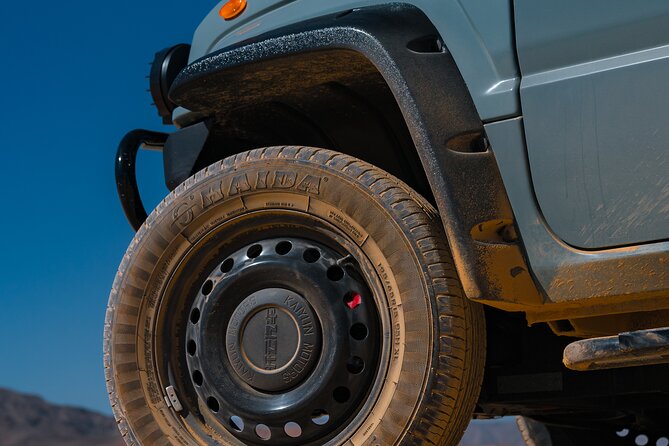 Las Vegas Strip and Downtown Las Vegas Guided Tours - Who Should Consider This Tour?