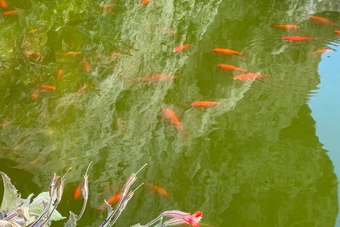 Oatman  Old Western Town RT66 Museum Black Mountain Scenic Drive - Final Thoughts