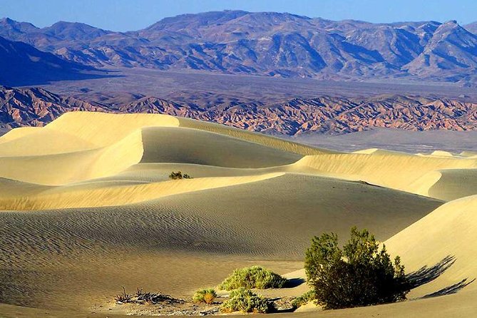 Death Valley Day Trip from Las Vegas - The Complete Experience: What to Expect from Your Death Valley Day Trip