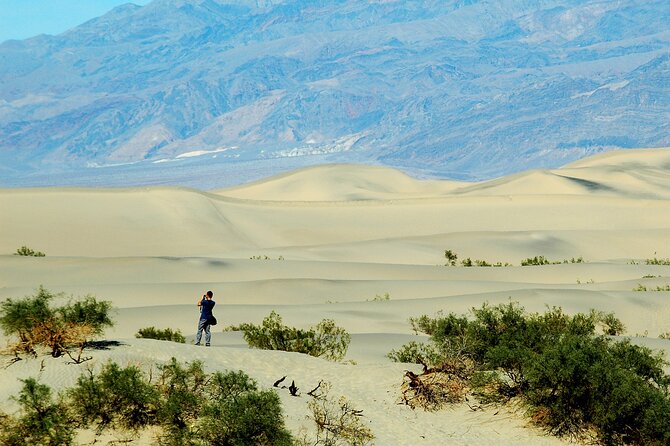 Death Valley Day Trip from Las Vegas - Who Should Consider This Tour?