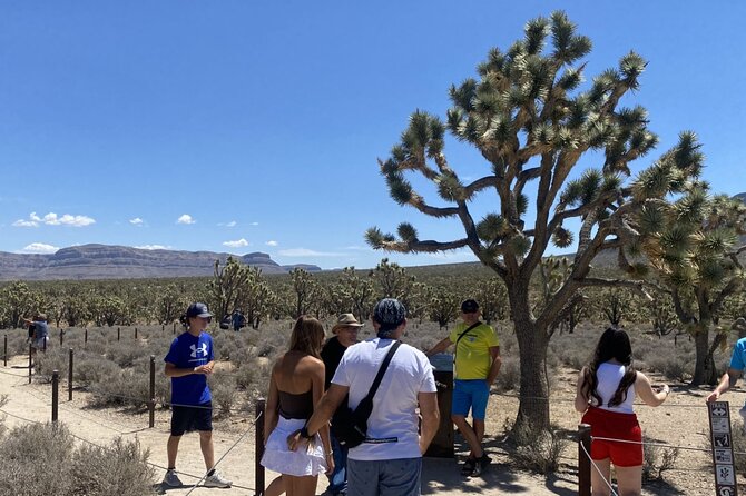 Historic Grand Canyon Western Ranch by Van with Helicopter Tour - A Closer Look at the Itinerary