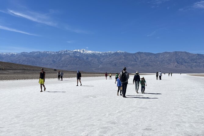 Death Valley, Seven Magic Mountains & Vegas Sign Tour - Who Is This Tour Best For?