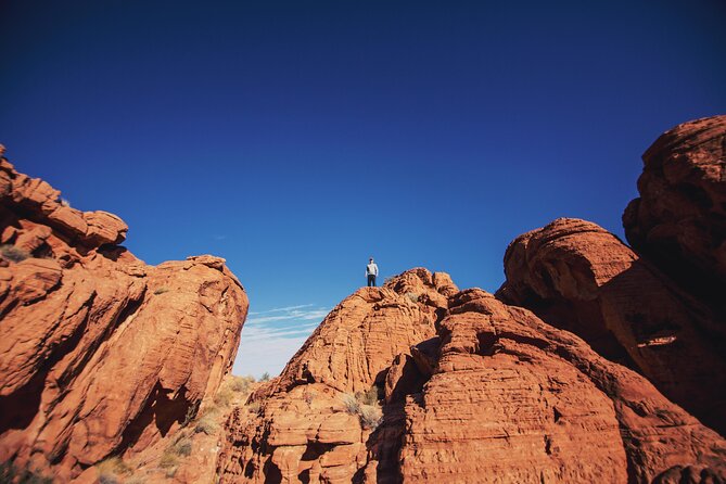 Private Tour: Valley of Fire Day Tour from Las Vegas - Why This Tour Offers Good Value